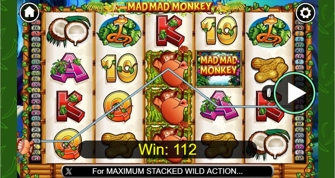 Mad Mad Monkey slot at Goxbet